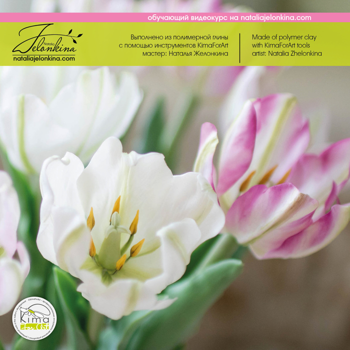 Тюльпан Bright Parrot лепесток большой