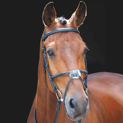 Трензельное оголовье с мексиканским капсюлем Shires Salisbury Brackley Mexican Grackle Bridle BLACK