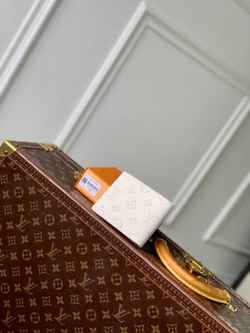 Louis Vuitton Multiple Wallet
