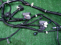 DSCN0964.JPG