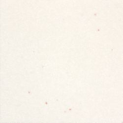 Мойка NOVELL гранит D463*500мм (Атланта латте +сифон), Граником