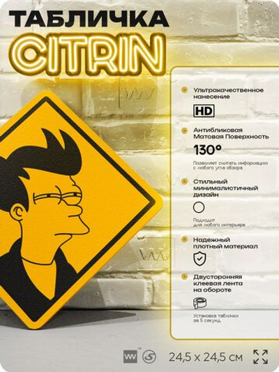 Табличка декоративная "Филип Дж. Фрай" из мультсериала Футурама, Futurama на дверь и стену, прикольная штука в подарок фанату, декоративный знак ЦИТРИН, 24,5х24,5 см, Айдентика Технолоджи