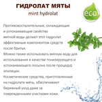 Гидролат мяты / mint hydrolat