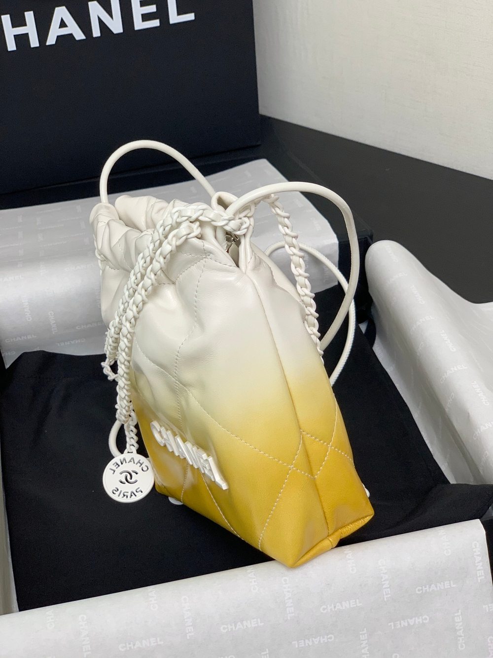 Chanel 22 Mini Handbag 20 cm