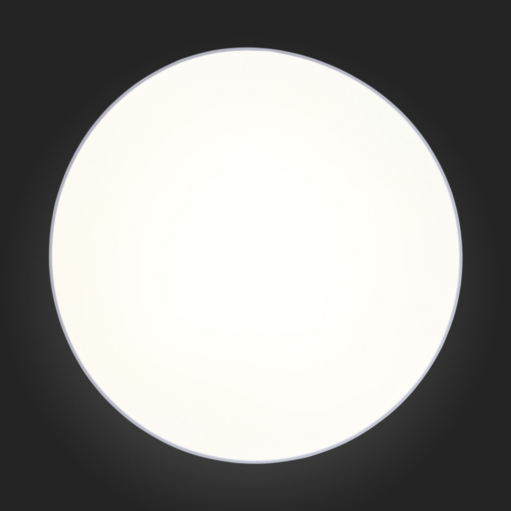 Накладной светильник ST-Luce SL417.512.01