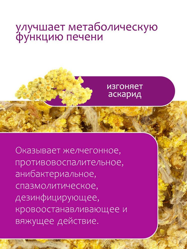 Бессмертник песчаный