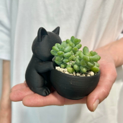 Кот Мару