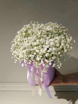 Трендовая гипсофила в разноцветной гамме (КМ0001)