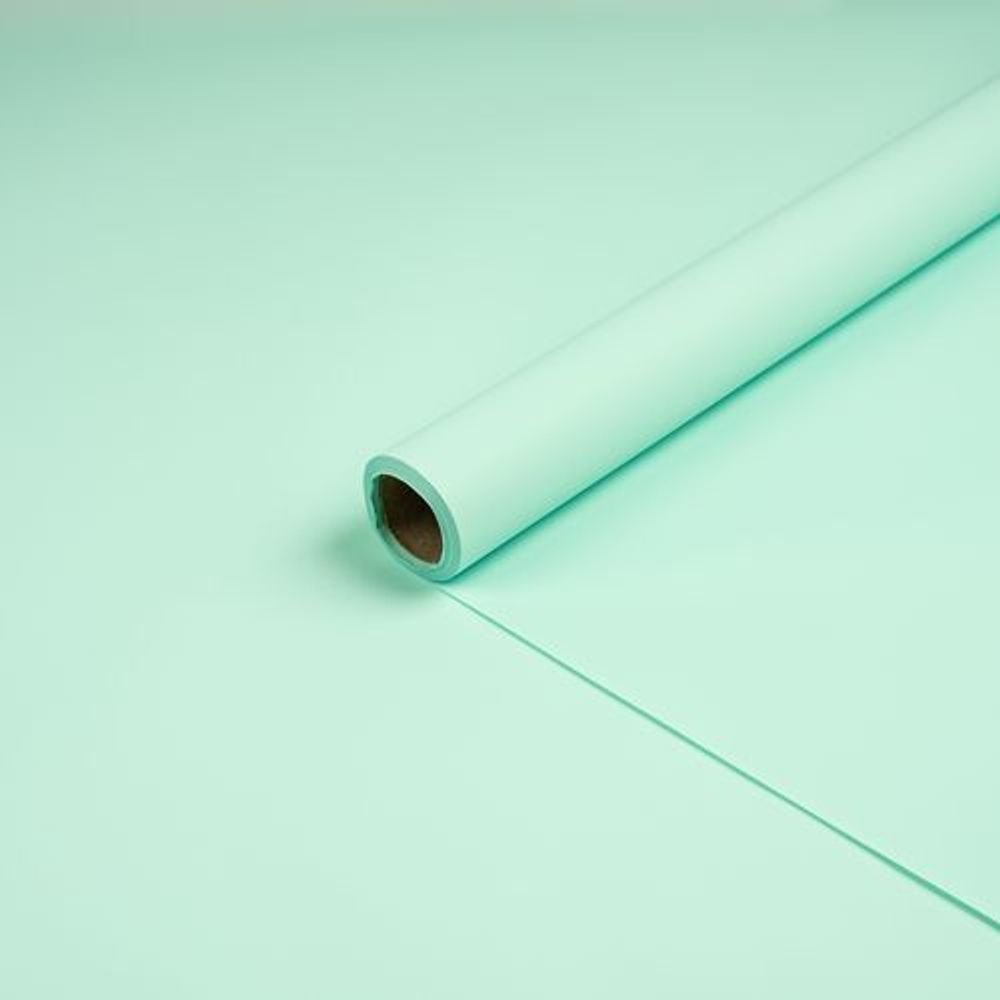 Пленка ФЛОРАНС 58*10м АКВАМАРИН