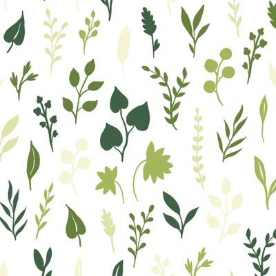 Ботанический бесшовный рисунок соцветий, бутонов, веток, листьев.