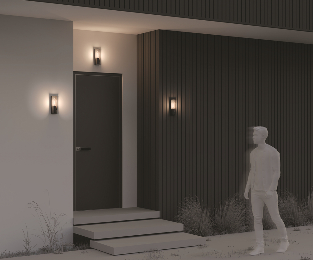 Уличный настенный светильник Outdoor O450WL-01GF