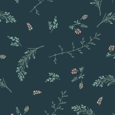 Луговые травы и клевер на темном