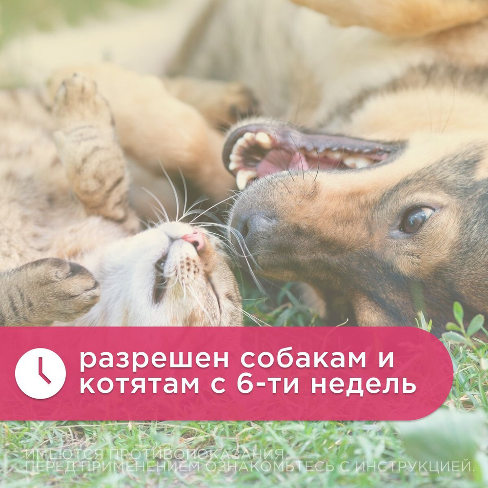 Противопаразитарный раствор для наружного применения для кошек, собак и пушных зверей Ципам (Цамакс),20 мл Циперметрин/Амитраз