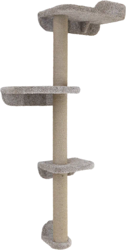 Волна с полкой