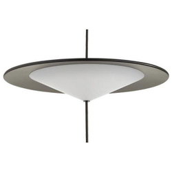Подвесной светильник Odeon Light 5012/16L