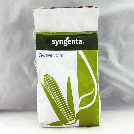 ГСС 14184 F1 семена кукурузы (Syngenta / Сингента) упаковка – фото 2