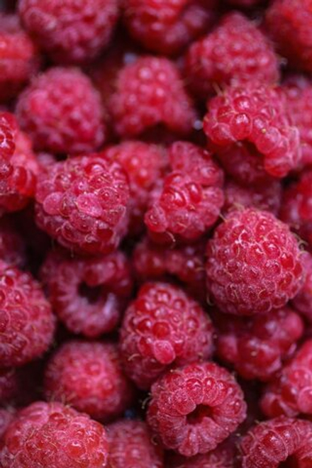 Pink Fresh Raspberries free image download