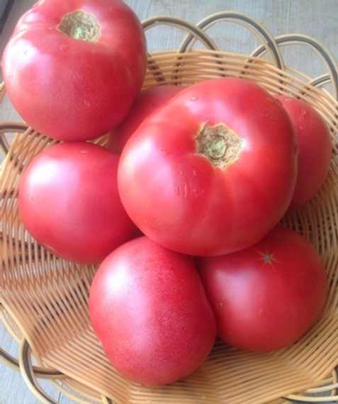 МЕЙ ШУАЙ F1 семена томата индетерминантного (Seminis) – фото 3