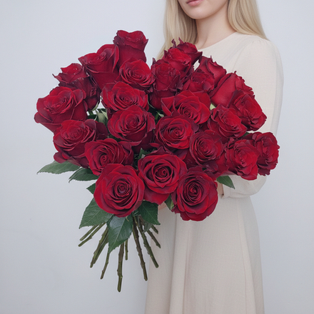 25 бордовых импортных роз Эксплорер
