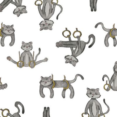 Кот - гимнаст