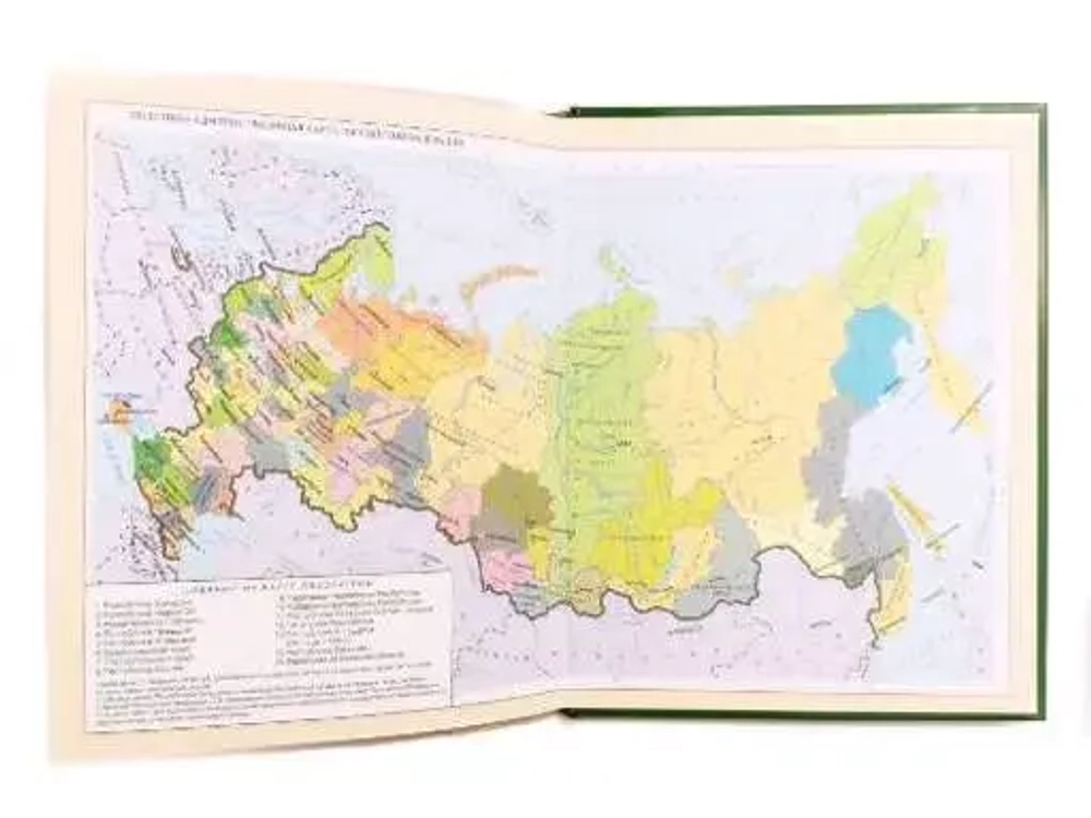 Дневник школьный 1-11 класс 40 листов в твёрдом переплёте Limpopo Тигр LPR0276