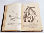 "Беседы о русском лесе". Д.Н.Кайгородов. 1885г.