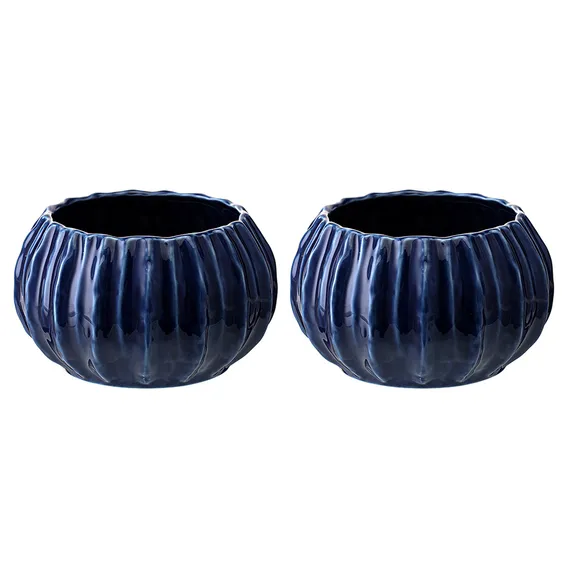 Набор из 2 салатников actinia синего цвета из коллекции sea treasures