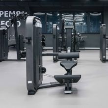 E7031 Разгибание спины. Стек 110 кг