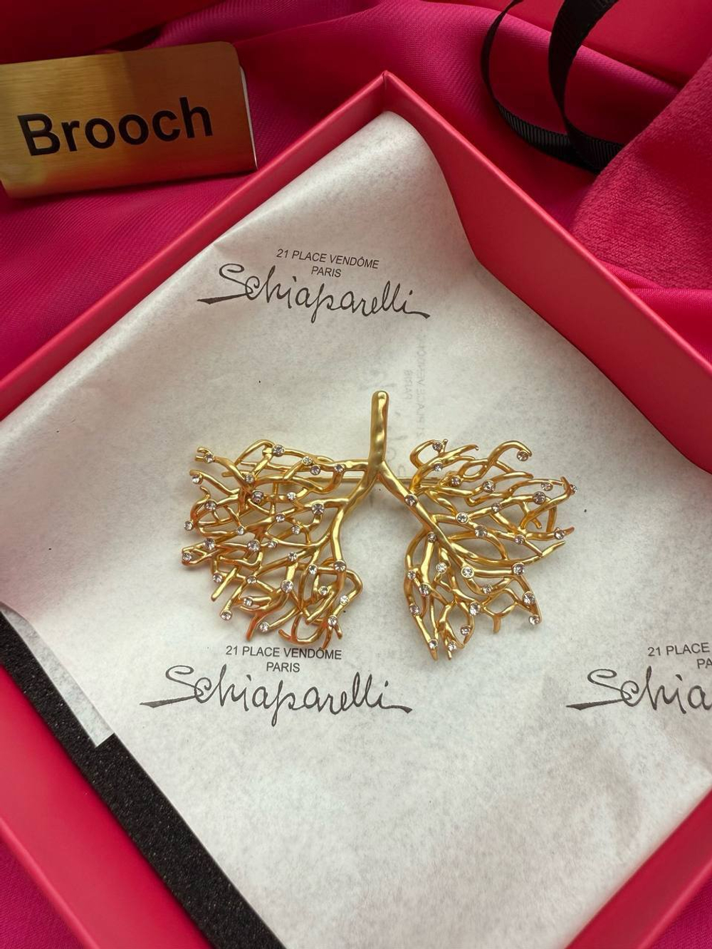 Брошь Schiaparelli