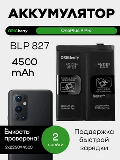 Аккумулятор для OnePlus 9 Pro 4500 mAh (BLP827) ORIGberry