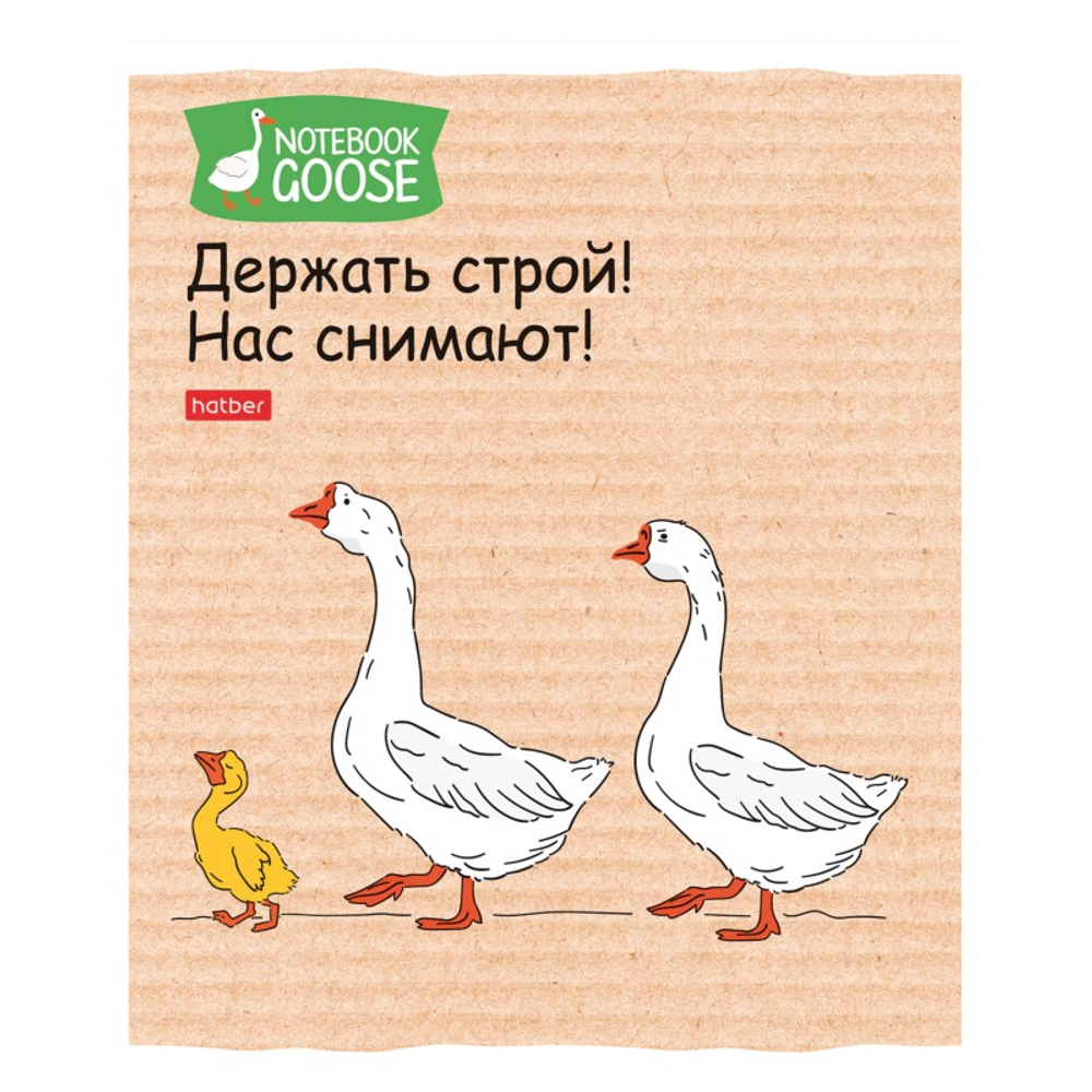 Тетрадь общая Hatber "Гусь веселюсь", А5, 48 листов в клетку, картон, на скрепке, ассорти