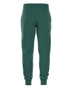 Мужские теннисные штаны Björn Borg Essential 1 - posy green