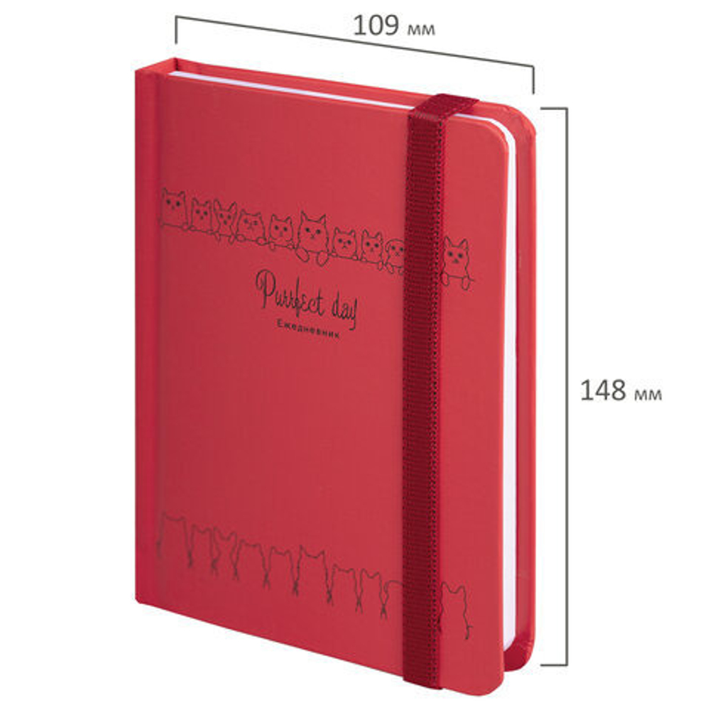 Ежедневник недатированный А6 128 л. БРАУБЕРГ Котики (114571)