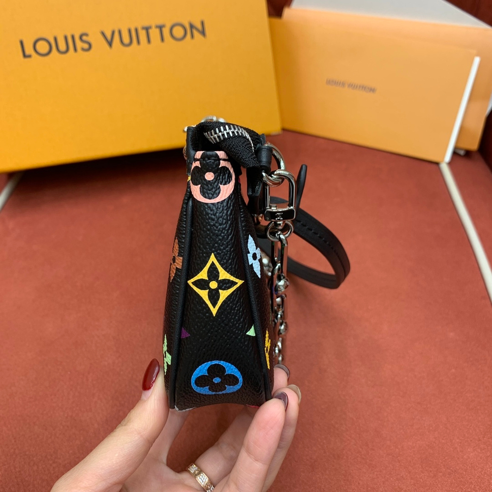 Louis Vuitton Pochette Accessoires