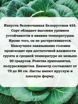 Семена капусты ранней среднепоздней брокколи 10 шт