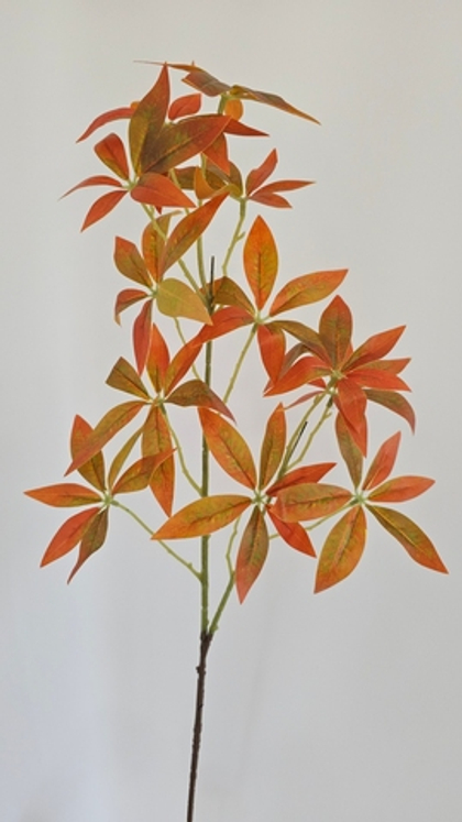 Шеффлера остролистная на стебле / Арт 1219