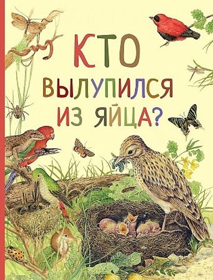 Кто вылупился из яйца?