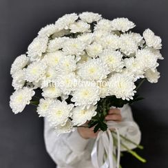 Букет из белой хризантемы под ленту