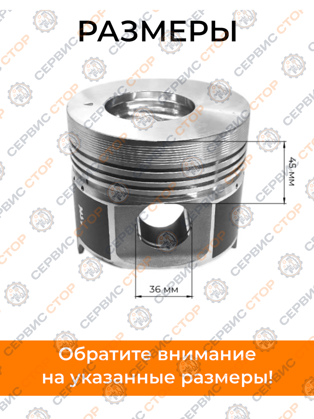A147-1-SF138-2 (1)
