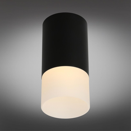 Накладной светильник Omnilux Lucido OML-100619-01