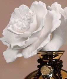 Showy Peony, ароматический диффузор с необычными палочками, Chando