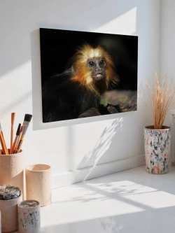 Картина на стену 40 X 50 Обезьяна