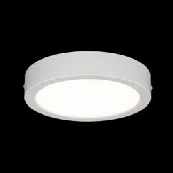 Citilux Галс CL5516N Светильник накладной светодиодный