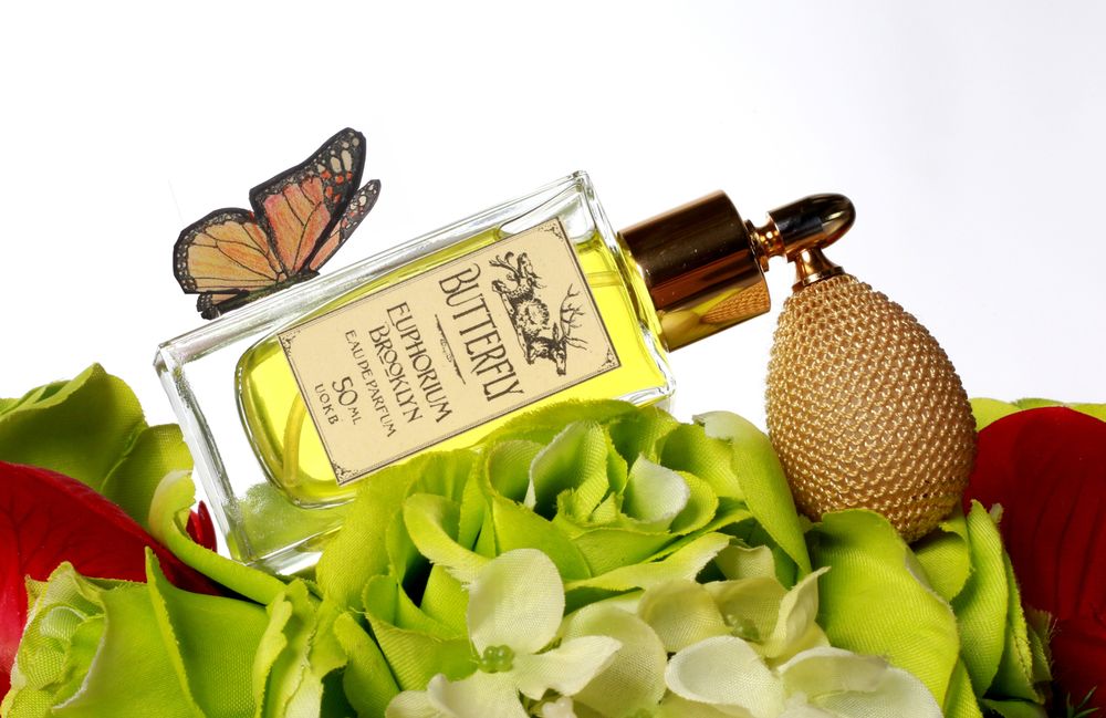Euphorium Brooklyn Butterfly