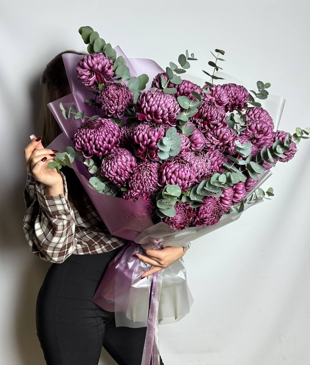 Хризантема Бигуди