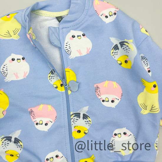 Толстовка из футера "Цветные попугайчики" небесный