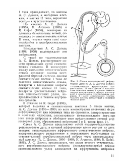 Метамерно-рецепторная рефлексотерапия | Ю.Н. Судаков; В.А. Берсенев; И. В. Торская