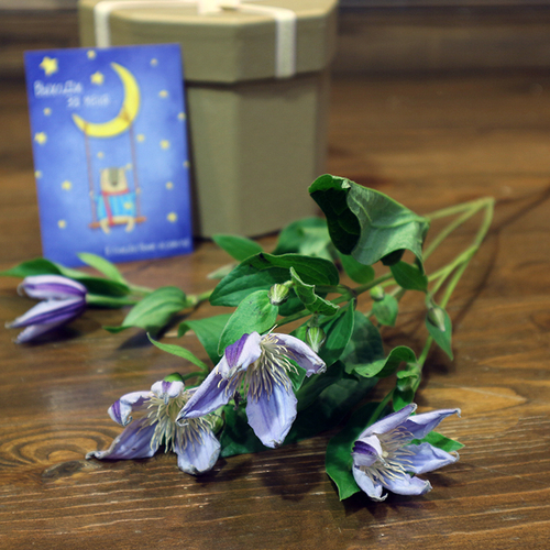 Купить Нежные клематисы от 9шт