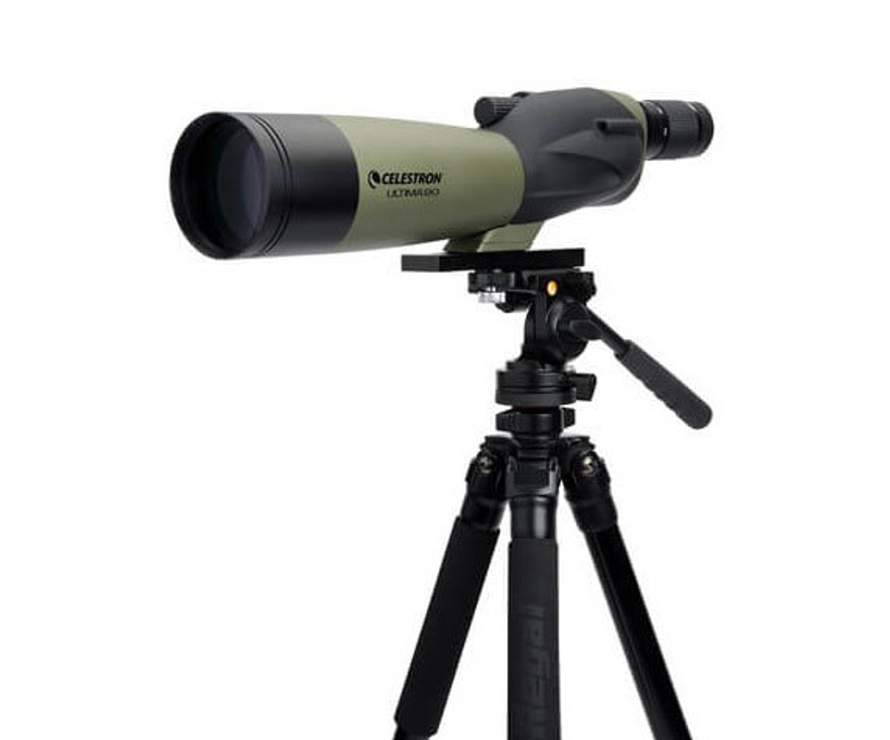 Прямая труба Celestron Ultima 80 Straight на штативе