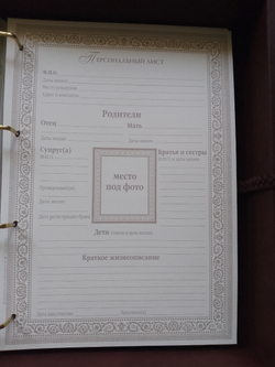 Большая семейная родословная книга "Столетие", натуральная кожа